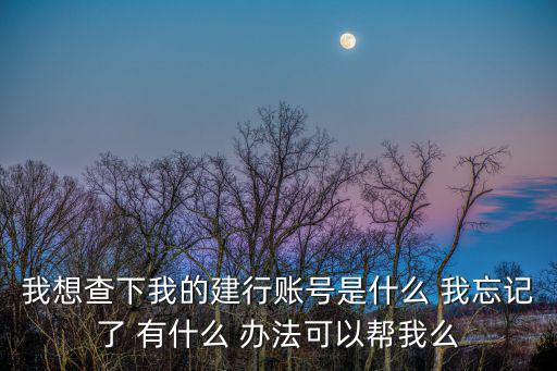怎么查建行用戶名是什么情況，我想查下我的建行賬號是什么 我忘記了 有什么 辦法可以幫我么
