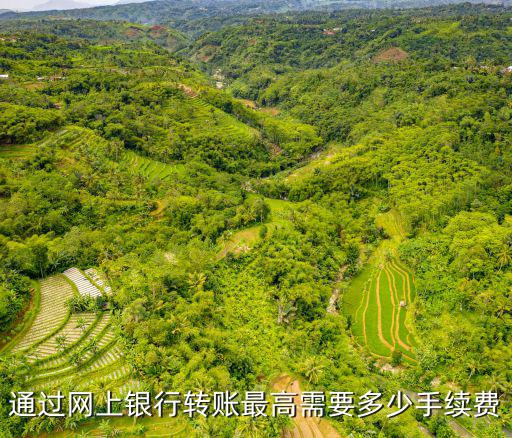 通過網(wǎng)上銀行轉(zhuǎn)賬最高需要多少手續(xù)費(fèi)