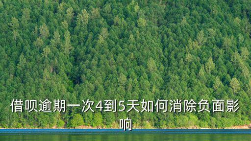 螞蟻借唄怎么解決逾期，螞蟻借唄500逾期16個月怎么辦