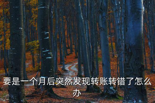 要是一個月后突然發(fā)現(xiàn)轉(zhuǎn)賬轉(zhuǎn)錯了怎么辦