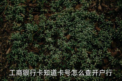 工商銀行卡知道卡號怎么查開戶行
