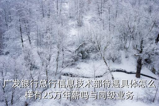 廣發(fā)銀行總行信息技術(shù)部待遇具體怎么樣有25萬年薪嗎與同級業(yè)務(wù)