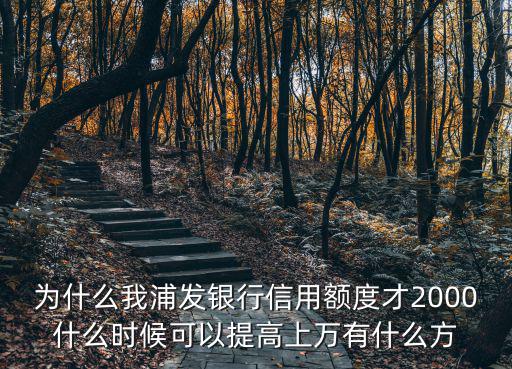浦發(fā)信用額度怎么提升，剛辦浦發(fā)信用卡額度太低能申請?zhí)岣邌?/></a></span><span id=
