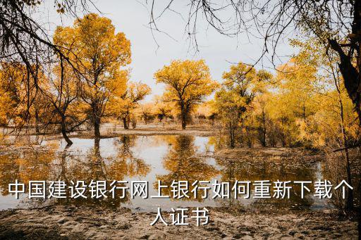 中國建設(shè)銀行網(wǎng)上銀行如何重新下載個(gè)人證書