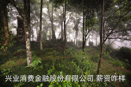 興業(yè)消費(fèi)金融股份有限公司 薪資咋樣