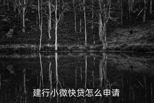 建行小微快貸怎么申請