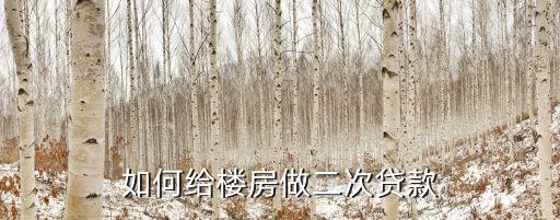 如何給樓房做二次貸款