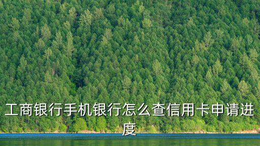 工商銀行手機(jī)銀行怎么查信用卡申請(qǐng)進(jìn)度