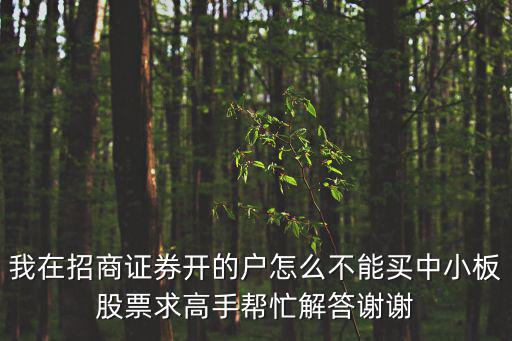 我在招商證券開(kāi)的戶怎么不能買中小板股票求高手幫忙解答謝謝