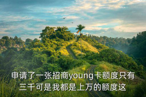 怎么申請(qǐng)招商銀聯(lián)白，銀聯(lián)白金卡怎么辦理