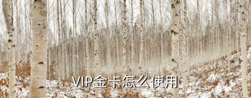 VIP金卡怎么使用