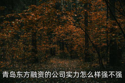 青島東方融資的公司實(shí)力怎么樣強(qiáng)不強(qiáng)