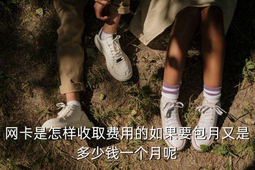 網(wǎng)卡是怎樣收取費(fèi)用的如果要包月又是多少錢一個(gè)月呢