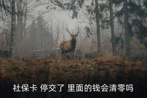 社?？?停交了 里面的錢(qián)會(huì)清零嗎