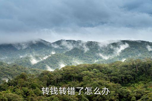 現(xiàn)金分期轉(zhuǎn)錯(cuò)了怎么辦，如果轉(zhuǎn)帳轉(zhuǎn)錯(cuò)了怎么辦