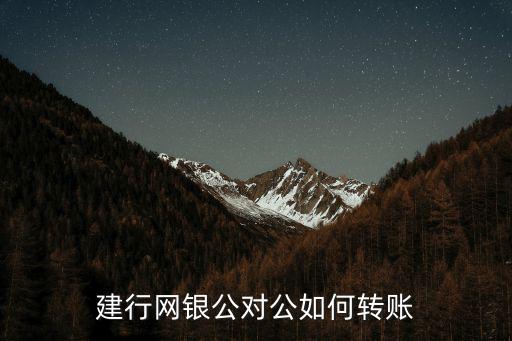 建行公對公賬戶轉賬怎么操作，建行網(wǎng)銀公對公如何轉賬