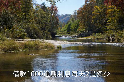 借款1000逾期利息每天2是多少
