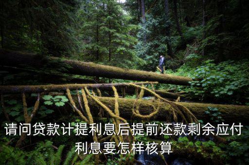 請問貸款計提利息后提前還款剩余應付利息要怎樣核算