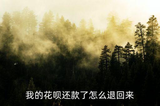 花唄的錢花完了怎么辦，花唄的錢用完了怎么辦