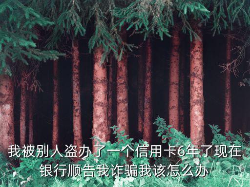 我被別人盜辦了一個(gè)信用卡6年了現(xiàn)在銀行順告我詐騙我該怎么辦