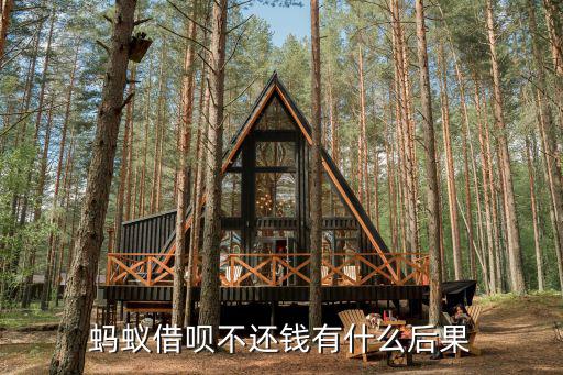 螞蟻借唄借了錢不還會(huì)怎么樣，支付寶有個(gè)借唄借了錢不還真的沒(méi)事嗎