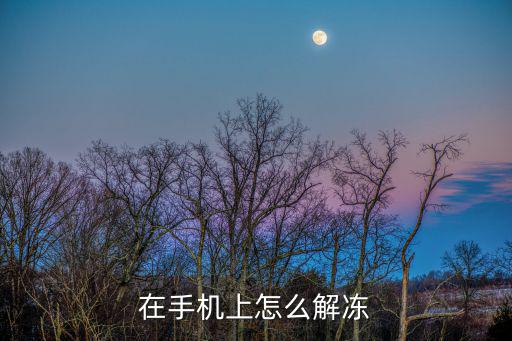 在手機上怎么解凍