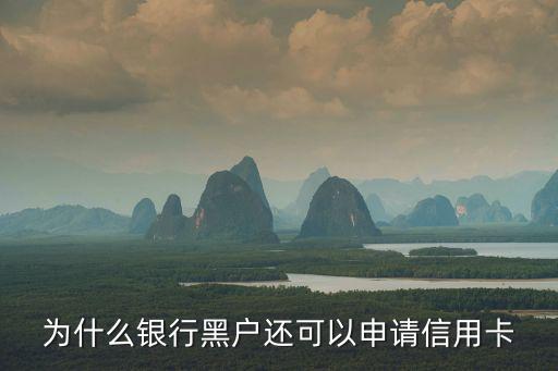 黑戶辦理信用卡怎么回事，黑戶能不能辦信用卡