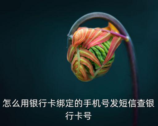 怎么用銀行卡綁定的手機(jī)號發(fā)短信查銀行卡號