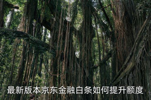 最新版本京東金融白條如何提升額度