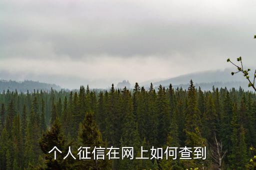 個(gè)人征信在網(wǎng)上如何查到