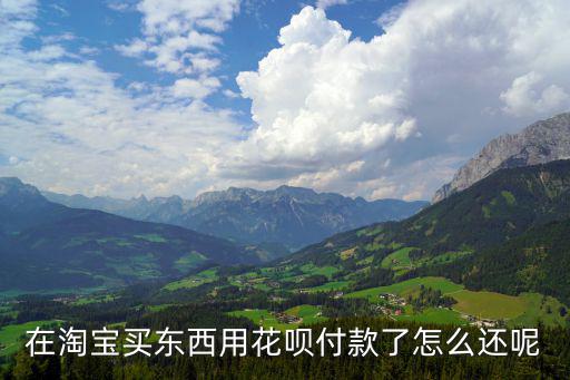在淘寶買東西用花唄付款了怎么還呢