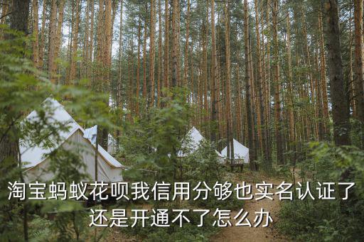 淘寶螞蟻花唄我信用分夠也實名認證了還是開通不了怎么辦