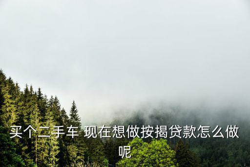 買(mǎi)個(gè)二手車(chē) 現(xiàn)在想做按揭貸款怎么做呢