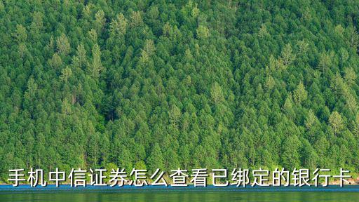 手機(jī)中信證券怎么查看已綁定的銀行卡