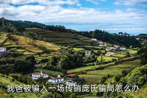 我爸被騙入一場傳銷龐氏騙局怎么辦