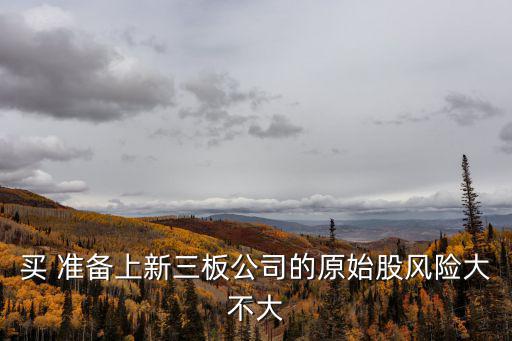 買 準(zhǔn)備上新三板公司的原始股風(fēng)險大不大