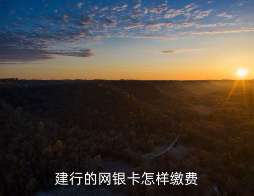 建行的網(wǎng)銀卡怎樣繳費(fèi)
