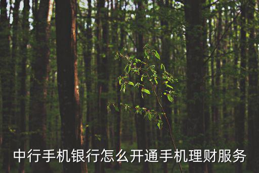 中行手機銀行怎么開通手機理財服務(wù)