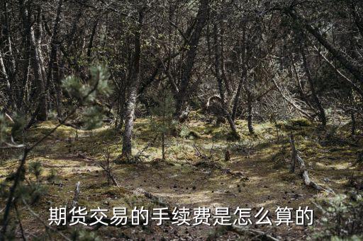期貨交易的手續(xù)費(fèi)是怎么算的