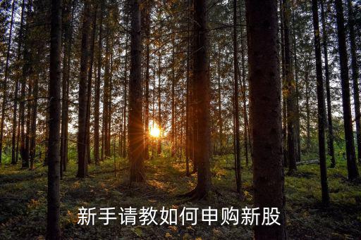 怎么打新股申購(gòu)，新手請(qǐng)教如何申購(gòu)新股