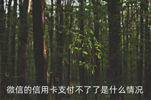 微信的信用卡支付不了了是什么情況