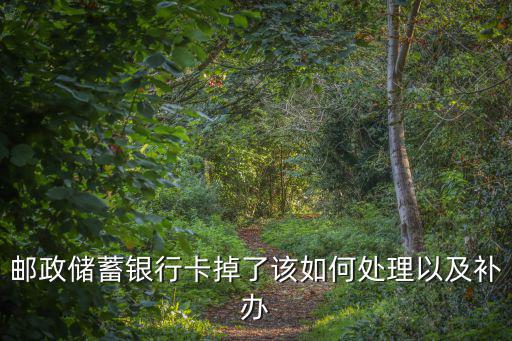 郵政儲蓄銀行卡掉了該如何處理以及補辦