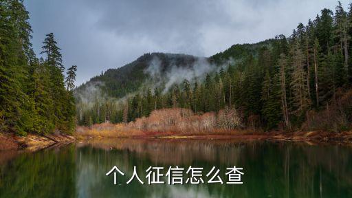 個(gè)人征信怎么查