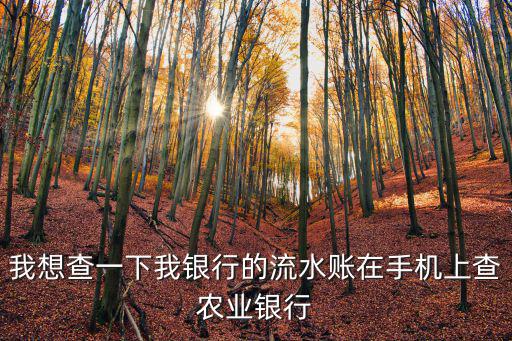 我想查一下我銀行的流水賬在手機(jī)上查農(nóng)業(yè)銀行