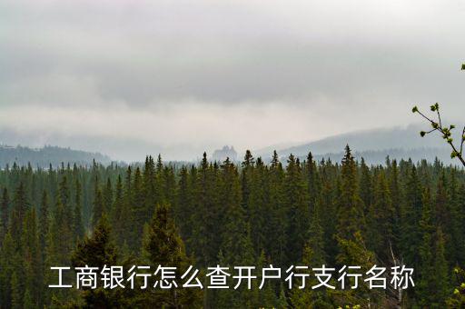 工商銀行怎么查開戶行支行名稱