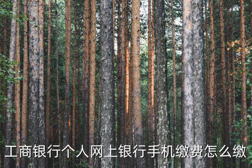 工商銀行個人網(wǎng)上銀行手機(jī)繳費(fèi)怎么繳