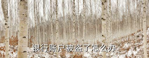 銀行賬戶被盜了怎么辦