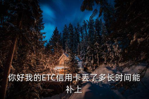 etc信用卡掉了怎么辦理嗎，ETC卡丟了怎么補(bǔ)辦
