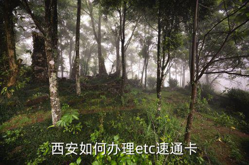 西安免費etc卡怎么辦，西安如何辦理etc速通卡