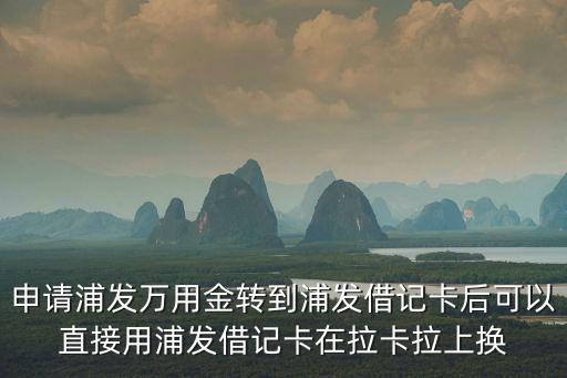 申請(qǐng)浦發(fā)萬用金轉(zhuǎn)到浦發(fā)借記卡后可以直接用浦發(fā)借記卡在拉卡拉上換